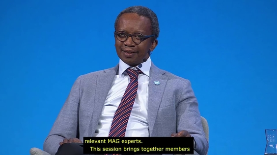 IGF Leadership Panel Event: Securing Access to the Internet and Protecting Core Internet Resources in Contexts of Conflict and Crises, IGF 2025