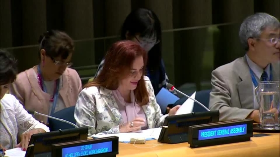 General Assembly: "Towards a Global Pact for the Environment" - Informal meeting