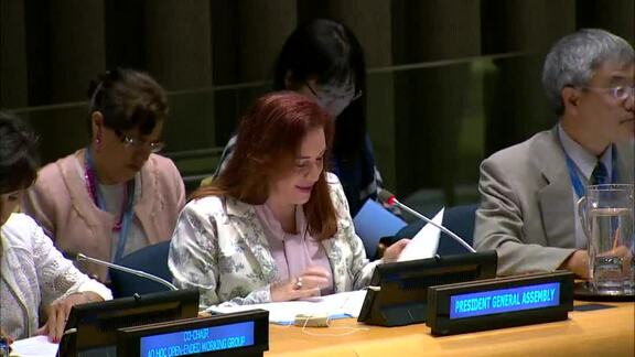 Informal Plenary of General Assembly on Global Pact for Environment