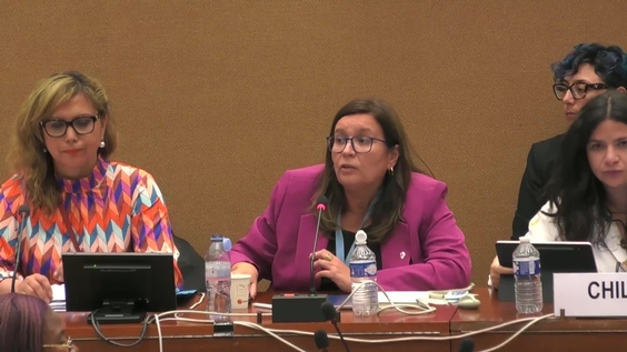 2101st Meeting, 89th Session, Committee on the Elimination of Discrimination against Women (CEDAW)