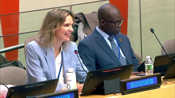 (6th meeting) 32nd Session of the Committee of Experts on International Cooperation in Tax Matters