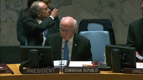 8441st Security Council Meeting: Situation in Middle East