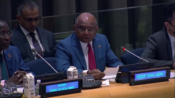 Abdulla Shahid (General Assembly President) at the Joint High-Level Dialogue "The Africa We Want: Reconfirming the Development of Africa as a Priority of the United Nations System"