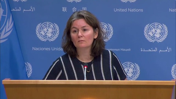 Press Conference on Current Desert Locust Situation