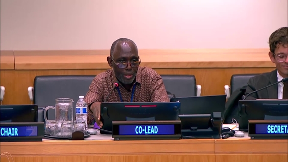 (5th meeting) - Fifth Session of the Intergovernmental Negotiating Committee on the UN Framework Convention on International Tax Cooperation (INC Tax) - 3 to 13 August 2026