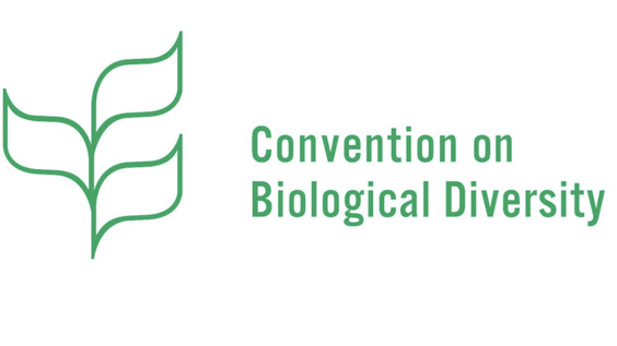 Workshop on the outcomes of the work of the Ad Hoc Technical Expert Group on Synthetic Biology