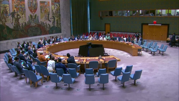 Working methods of the Security Council - Security Council, 10210th meeting