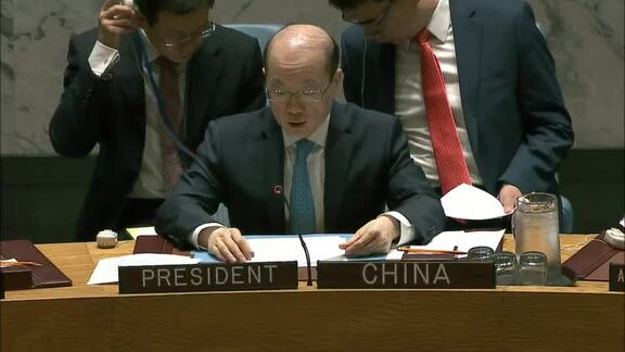 7997th Security Council Meeting: UN Mission in Colombia 