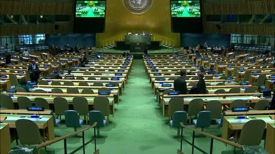 Asamblea General, 55ª Sesión Plenaria, 71° Periodo de Sesiones