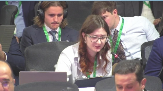 Working Group II (4th meeting)