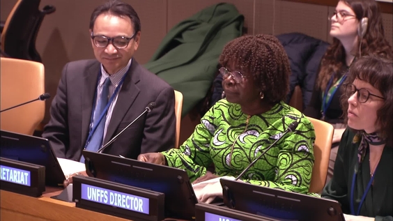 International Day of Forests 2026: Forests and Economies