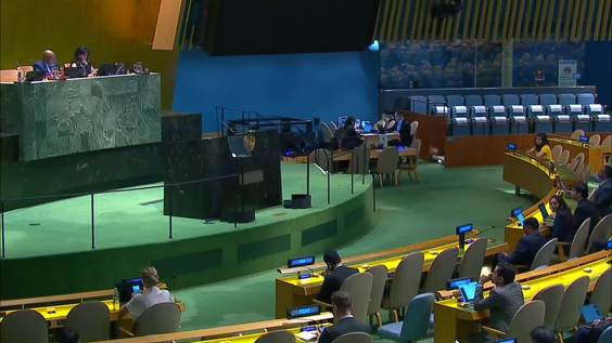 General Assembly: 100th plenary meeting, 78th session
