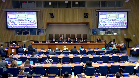 10th plenary meeting - 63rd Session of the Commission for Social Development (CSocD63)