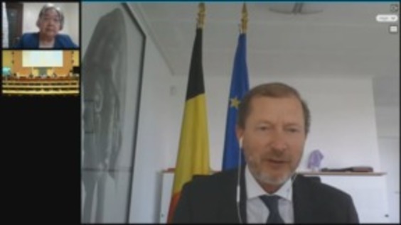 Consideration of Belgium - 2814th Meeting, 103rd Session Committee on Elimination of Racial Discrimination