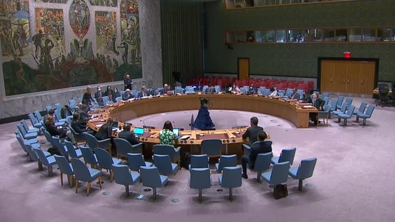 Часть 1 - (Продолжение) Защита гражданских лиц в вооруженном конфликте - Совет Безопасности, 9042-е заседание