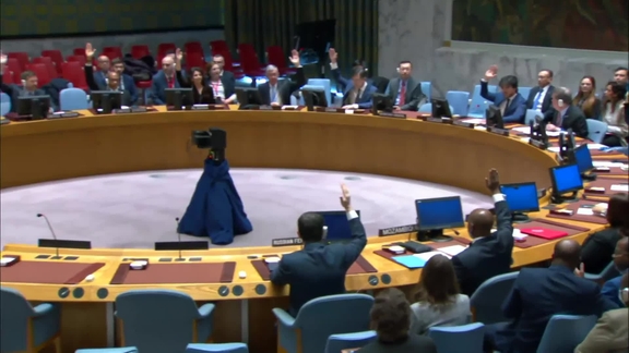 The situation in the Middle East (UNDOF) - Security Council, 9516th meeting