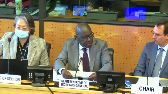 540th Meeting, 29th Session, Committee on Enforced Disappearances (CED)