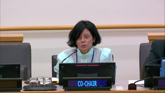 Preparatory Commission: Agreement on Marine Biological Diversity of Areas beyond National Jurisdiction (Third Session, Informal Working Group)