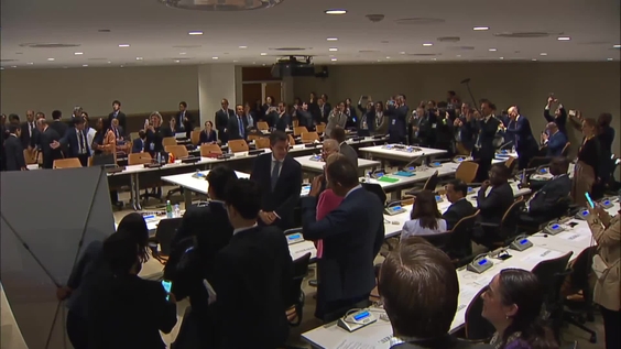 High-level Meeting to Launch the Friends of a Fissile Material Cut-Off Treaty (FMCT)