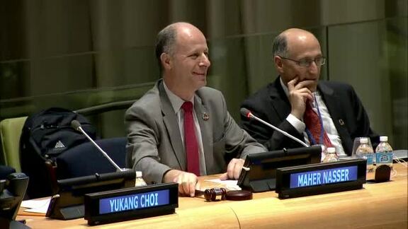DPI/NGO Conference Outcome Briefing 