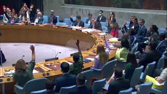 The situation in Mali - Security Council, 9119th Meeting