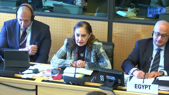 575th Meeting, 39th Session, Committee on Migrant Workers (CMW)