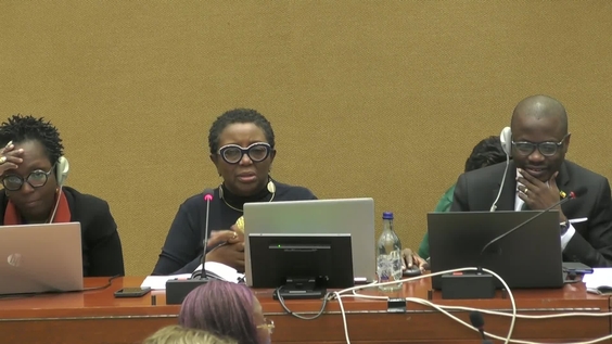 2109th Meeting, 89th Session, Committee on the Elimination of Discrimination against Women (CEDAW)