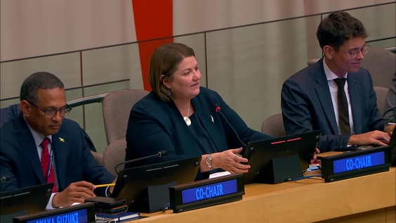 Informal Ad hoc Working Group on UN80 initiative - General Assembly, 80th session