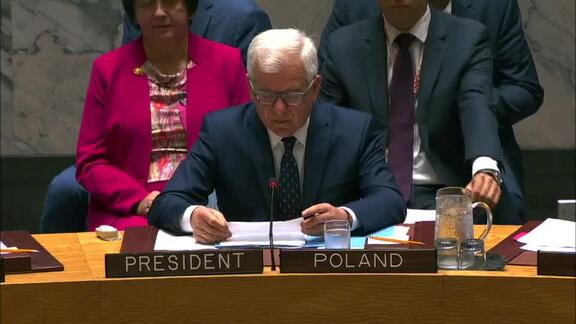 8590th Security Council Meeting: Peace and Security in Africa