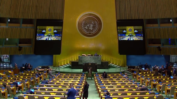 联合国大会第78届会议 - 第65次全体会议