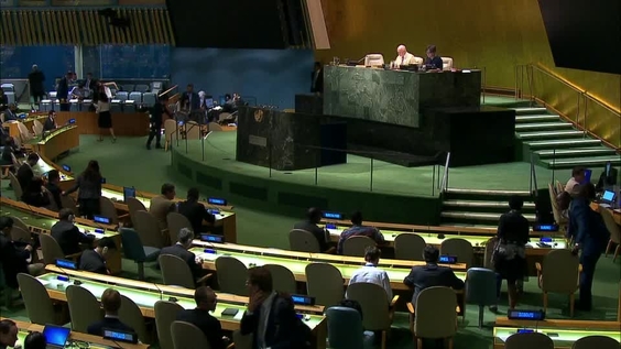 联合国大会第71届会议第88次全体会议