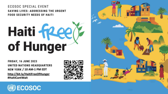 Economic and Social Council: Special meeting on "Saving lives: Addressing the urgent food security needs of Haiti", 2023 Session