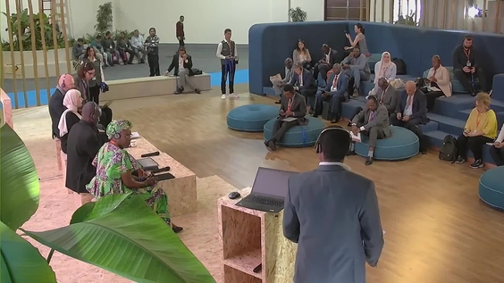 UN-Habitat Arena: National Urban Policies Impacts: From National to Local Actions (World Urban Forum 12th Session)
