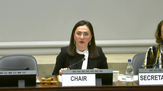 2934th Meeting, 100th Session, Committee on the Rights of the Child (CRC)