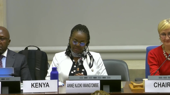 3015th Meeting, 93rd Session, Committee on the Elimination of Discrimination against Women (CEDAW)