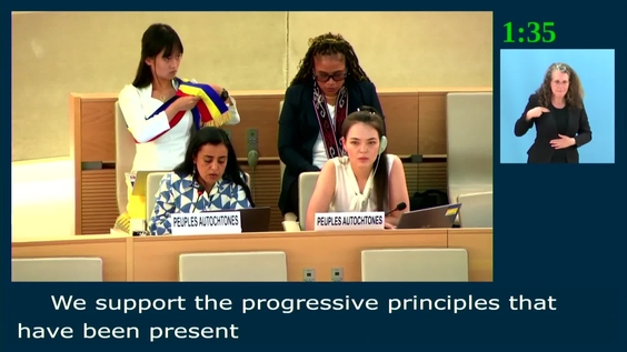 2nd Meeting, First Intersessional Meeting on the Participation of Indigenous Peoples - Human Rights Council