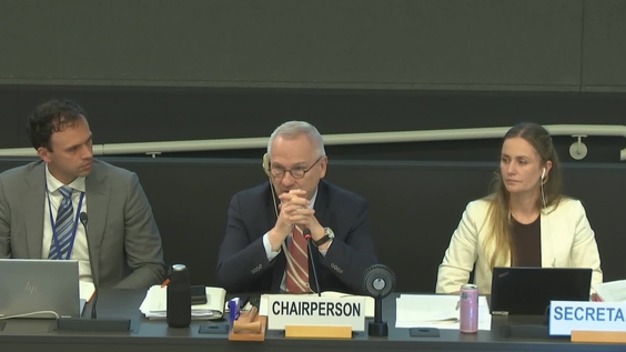 4th Meeting - 2nd Session Group of Governmental Experts on Lethal Autonomous Weapons Systems 2026