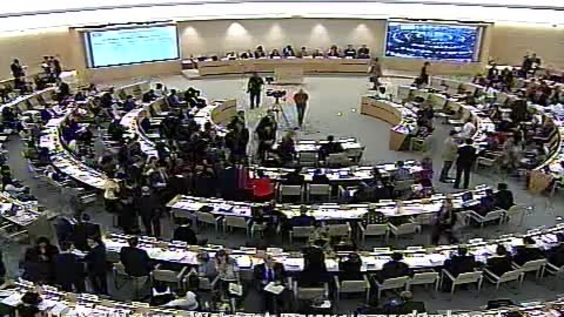 Vote on Draft Resolutions, 33rd Meeting, 20th Session