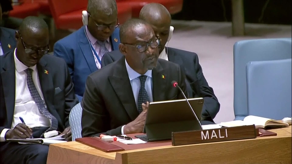 The situation in Mali - Security Council, 9154th Meeting