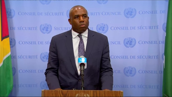 David Lammy (United Kingdom) on Palestine - Security Council Media Stakeout