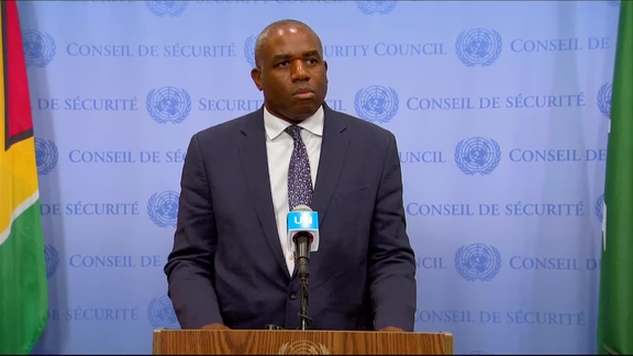 David Lammy (United Kingdom) on Palestine - Security Council Media Stakeout