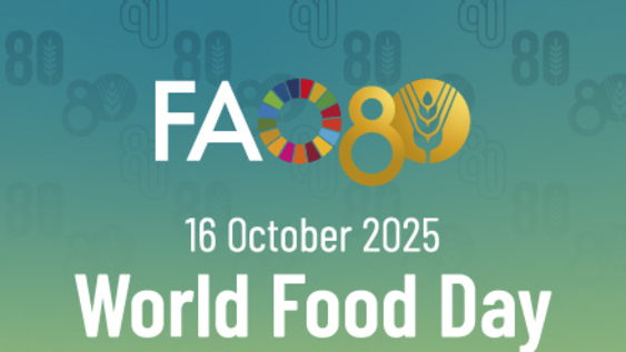 GO11 - Food Futures: Conversations for a Better World – Global talks inspired by FAO's four betters on the Organization's 80th anniversary