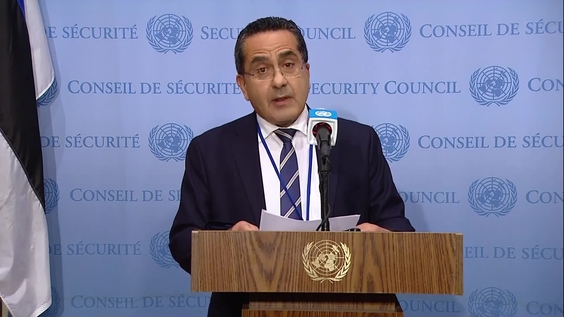 Andreas Hadjichrysanthou (Cyprus) on the situation in the Country - Security Council Media Stakeout