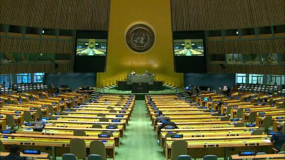 19th Plenary Meeting - General Assembly 75th Session
