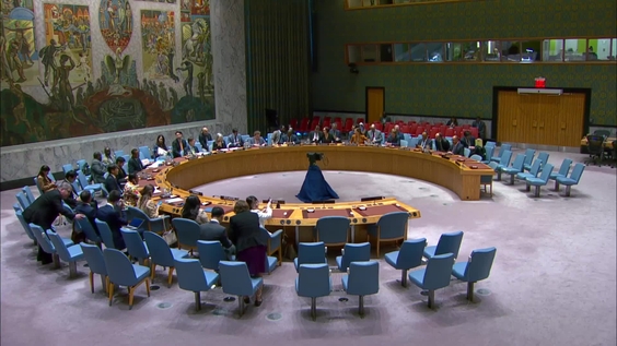 The situation in Somalia - Security Council, 9677th meeting