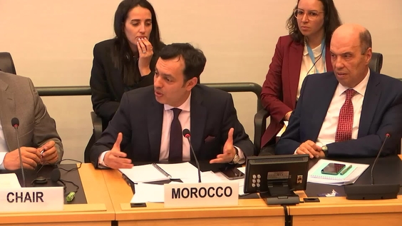 516th Meeting, 36th Session, Committee on Migrant Workers (CMW)