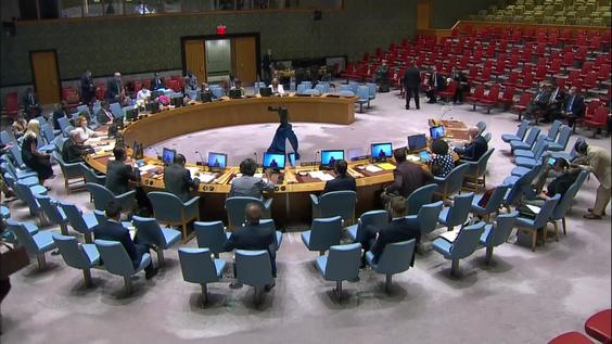 The situation in the Middle East - Security Council, 8805th meeting