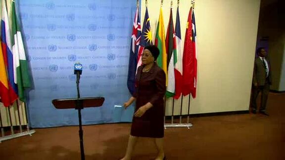 SC President Briefs Press on the Situation in Mali