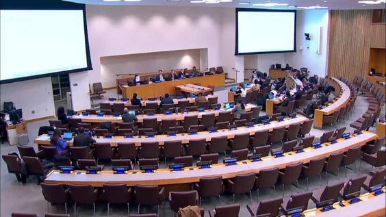 (8th plenary meeting) Committee on Non-Governmental Organizations, 2025 regular session, Economic and Social Council