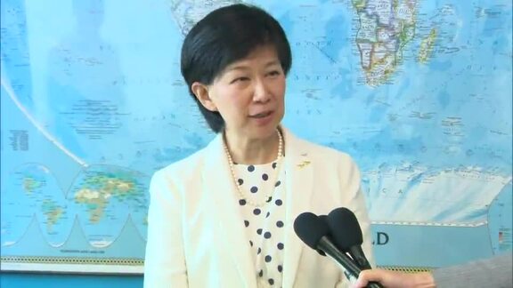 High Representative for Disarmament Affairs Briefs Press  